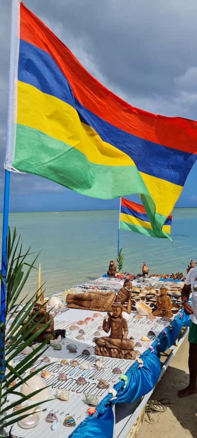Mauritius: Snorkel and Swim with Dolphins on Speedboat Tour - Snorkeling gear and life vests, plus the open-water reality