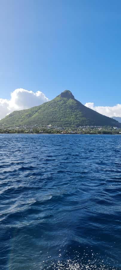 Mauritius: Snorkel and Swim with Dolphins on Speedboat Tour - Price and value: $49 is a bargain if you can reach the meeting point