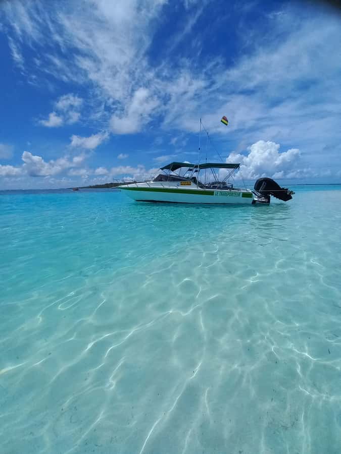 Mauritius: Snorkeling with turtles Le Transporteur speedboat - What happens once you’re on board (snacks, gear, and the guide’s job)