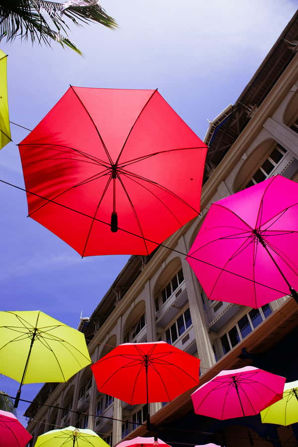 Mauritius: Snorkeling with Turtles & Port Louis Street Food - A turtle swim plus Port Louis food walk: what this day does right