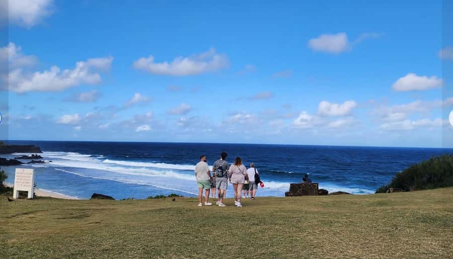 Mauritius: South Coast Tour with Tea Factory & Gris Gris - Tea museum, tasting, and the one detail you must not miss