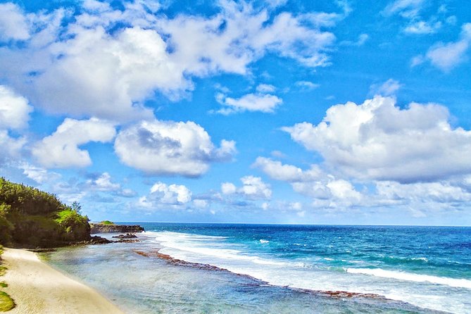 Mauritius South Tour Including Blue Bay Glass Bottom Boat & Snorkelling - La Vanille Nature Park, crocodiles, tortoises, and an insect collection