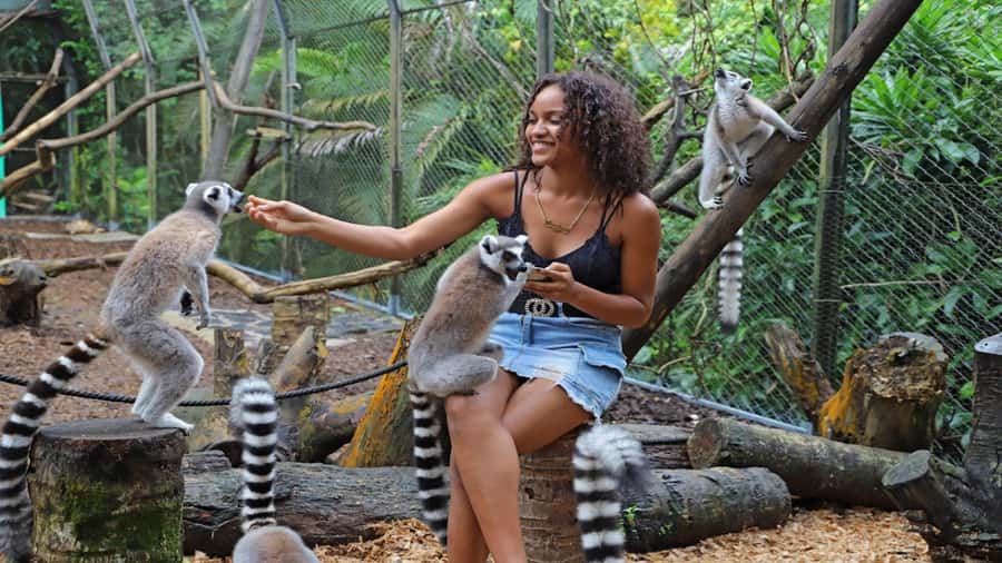 Mauritius: Southern Tour Incl. Adventure Park & Le Morne - Southern Mauritius, the part you actually feel