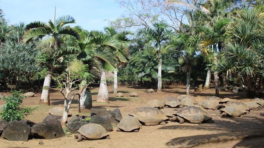 Mauritius: Southern Tour Incl. Adventure Park & Le Morne - Le Morne Beach: end with sea air and a sense of arrival