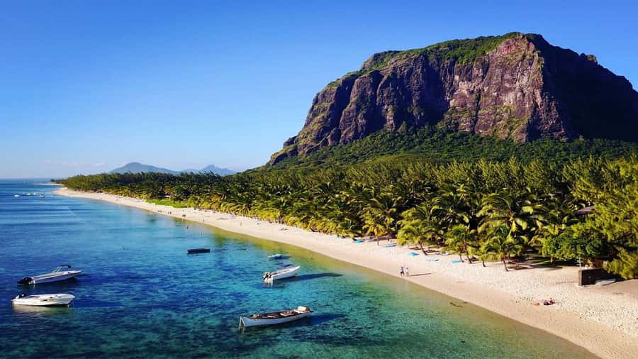 Mauritius: Southern Tour w/La Vanille & Le Morne Beach - Fossils and extinct birds: dodo and elephant bird in a single walk