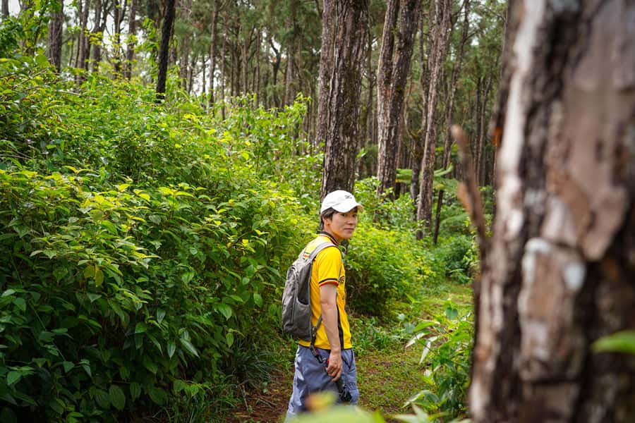 Mauritius: Sunrise Mountain Hike with Southwest Road-trip - Key highlights I’d plan around