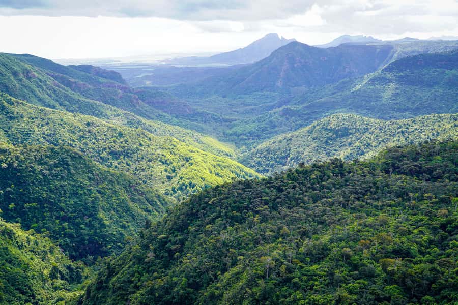 Mauritius: Sunrise Mountain Hike with Southwest Road-trip - Black River Gorges and Alexandra Falls: viewpoint payoff, with weather caveats