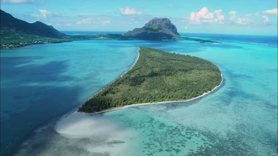 Mauritius: Swim with Dolphins Full-Day with Lunch/Drinks - Finding Wild Dolphins, then Jumping In for the Swim