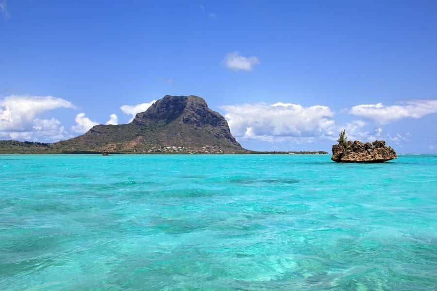 Mauritius: Swim with Dolphins Full-Day with Lunch/Drinks - Ile aux Bénitiers BBQ Lunch, Drinks, and Island Time