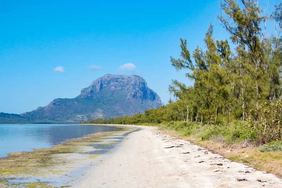 Mauritius: Swim with Dolphins Full-Day with Lunch/Drinks - Price, Value, and What You Actually Get for $96