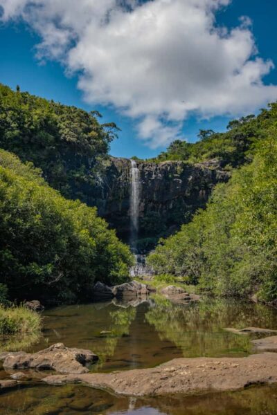 Tamarind Falls Highlights 3-Hour Hiking Trip