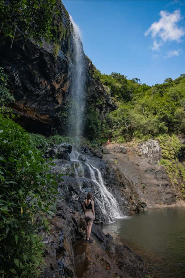 Mauritius: Tamarind Falls Highlights 3-Hour Hiking Trip - The rainforest walk with plant and animal stories you can actually use