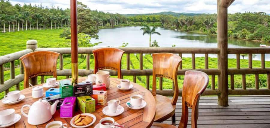 Mauritius: Tea and Sugar Plantation Guided Tour with Lunch - Tea, rum, and sugar in one day: why this Mauritius tour feels different