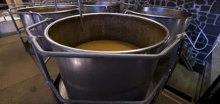 Mauritius: Tea and Sugar Plantation Guided Tour with Lunch - Price and value: how $350 per group up to 2 adds up