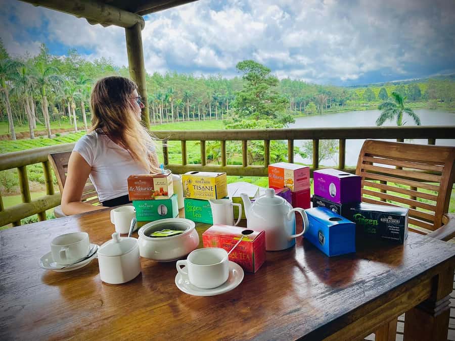 Mauritius: Tea, Rum and Vanilla Route with Lunch and Pickup - Le Domaine des Aubineaux: Colonial Museum, Floral Park, and Essences House