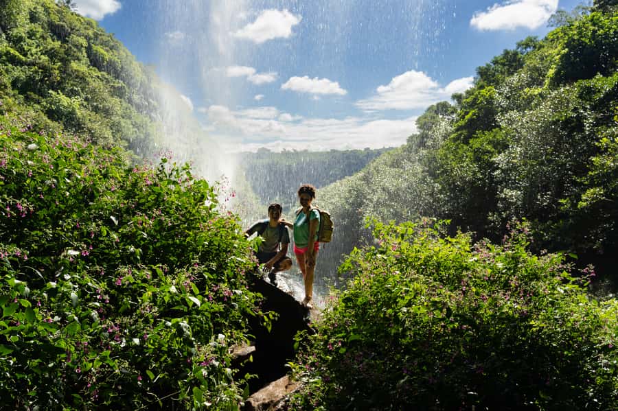 Mauritius: The Iconic Waterfalls hike + Mauritian picnic - The 3-hour jungle trek: what you’ll actually do