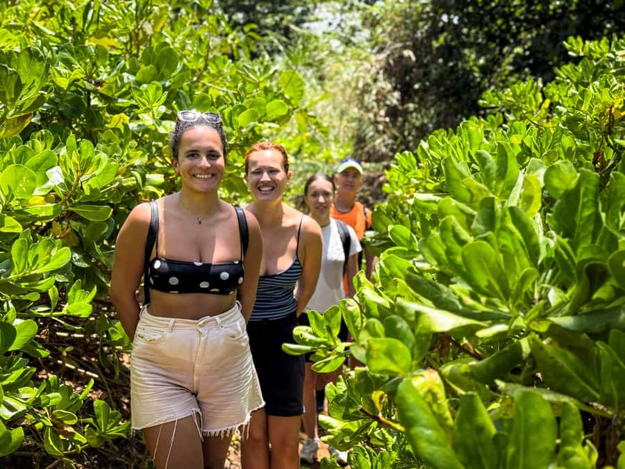 Mauritius: The Wild South Hiking Tour with a Guide - La Roche Qui Pleure and the Weeping Rock effect