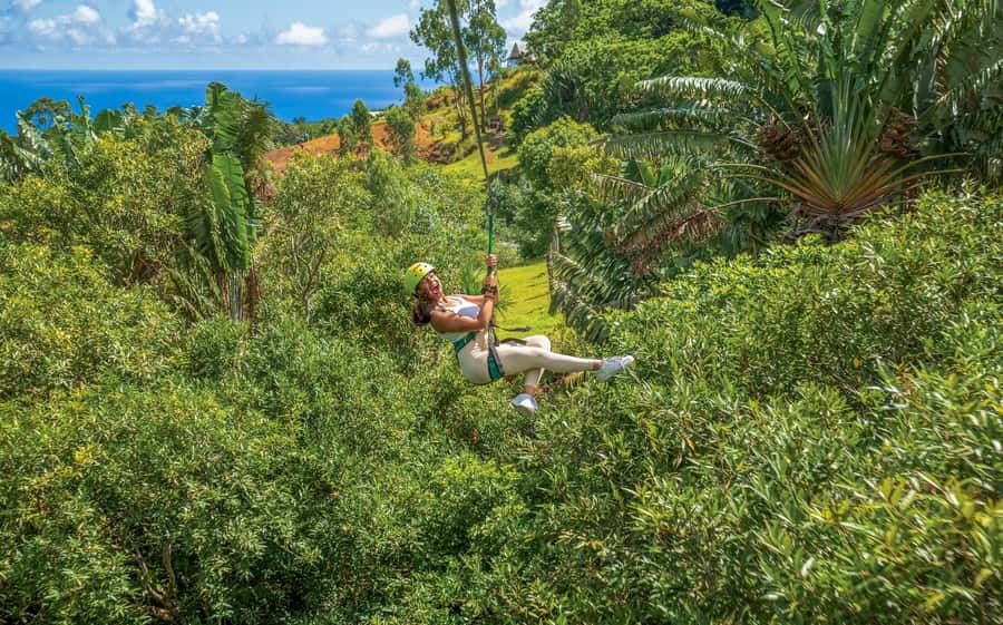 Mauritius: Vallé Advenature Park - Adventure Tour Zipline - The full zipline circuit: 6 runs over 2.4 km in about 45 minutes