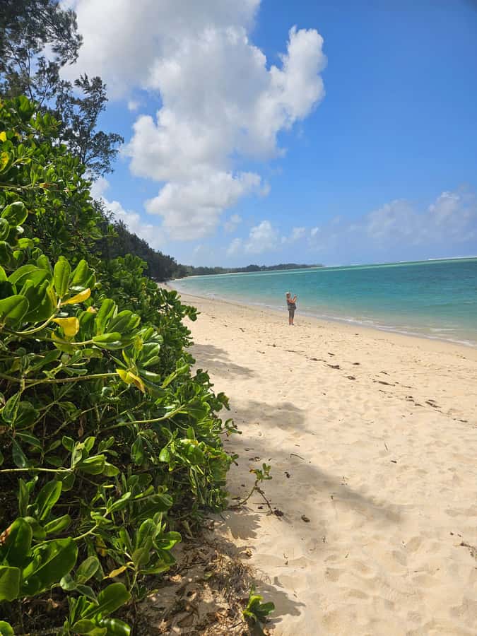 Mauritius: Vanilla Park & Beaches Tour with Extra Option - The optional 23 Coloured Earth stop for geology fans and thrill-seekers