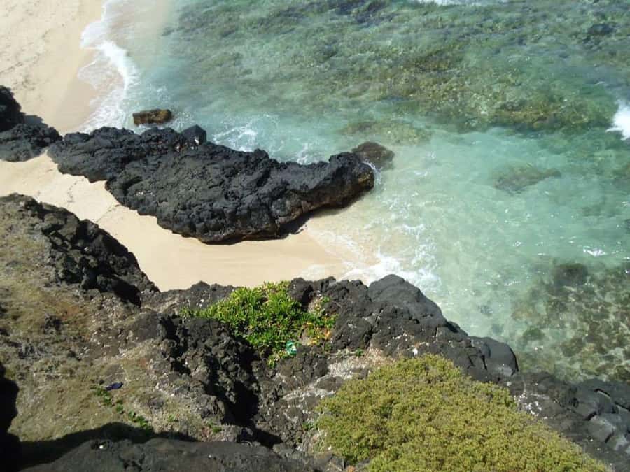 Mauritius: Vanilla Park & Beaches Tour with Extra Option - Pickup at 08:30 and how the 8 hours are likely to feel