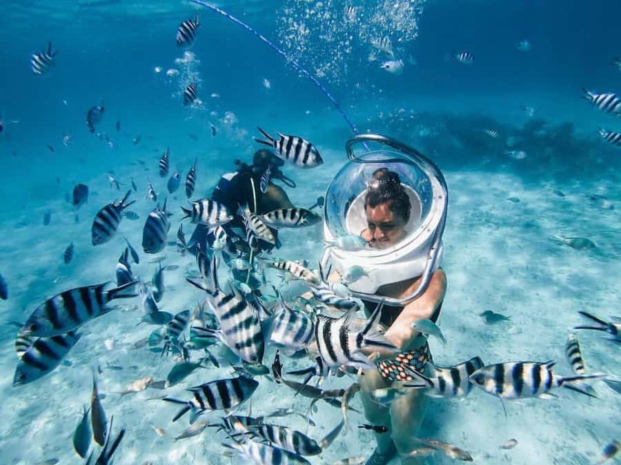 Mauritius: Watersport Adventure Day with Lunch and Pickup - Key Things to Know Before You Go