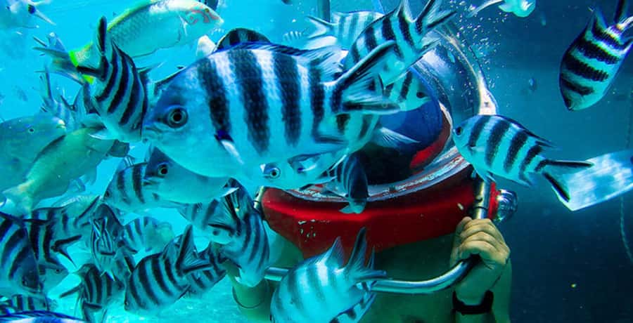 Mauritius: Watersport Adventure Day with Lunch and Pickup - Lunch and Soft Drinks: Included Fuel With Real Choices