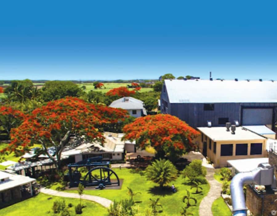 North Day Tour, Botanical Garden, Sugar Museum, Rum Tasting - Why This North Day Mix Works Better Than a Straight Sightseeing Loop
