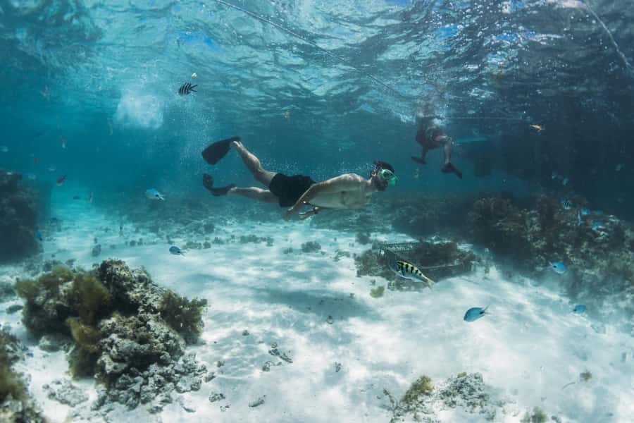 North East of Mauritius: Catamaran Cruise w/ BBQ Lunch - Snorkeling at the Grand Gaube turquoise lagoon, and what to expect from the gear situation