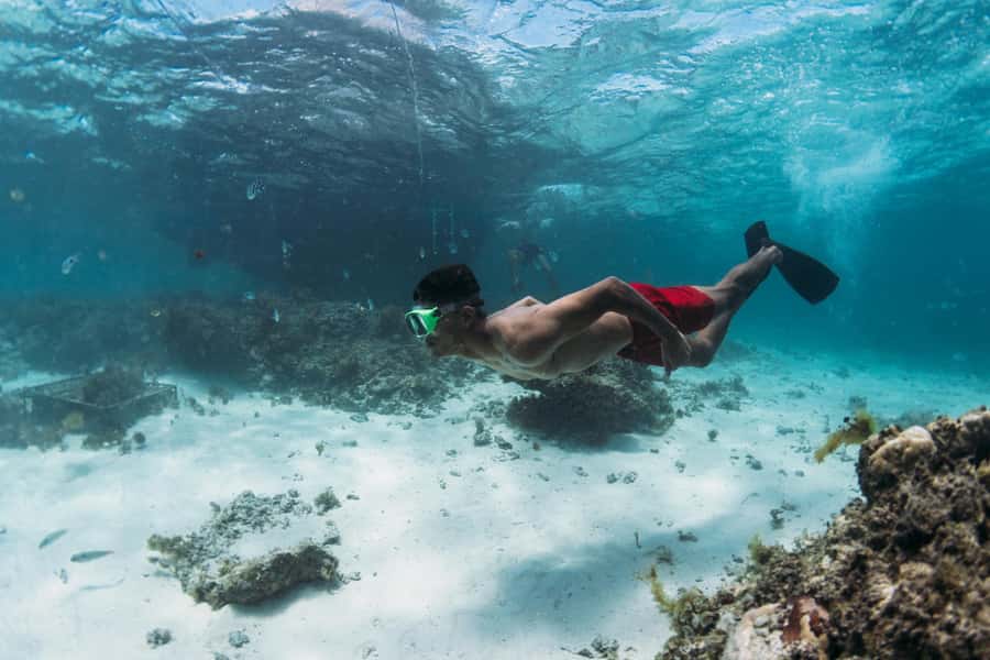North East of Mauritius: Catamaran Cruise w/ BBQ Lunch - Price and value: what $80 per person buys you, really