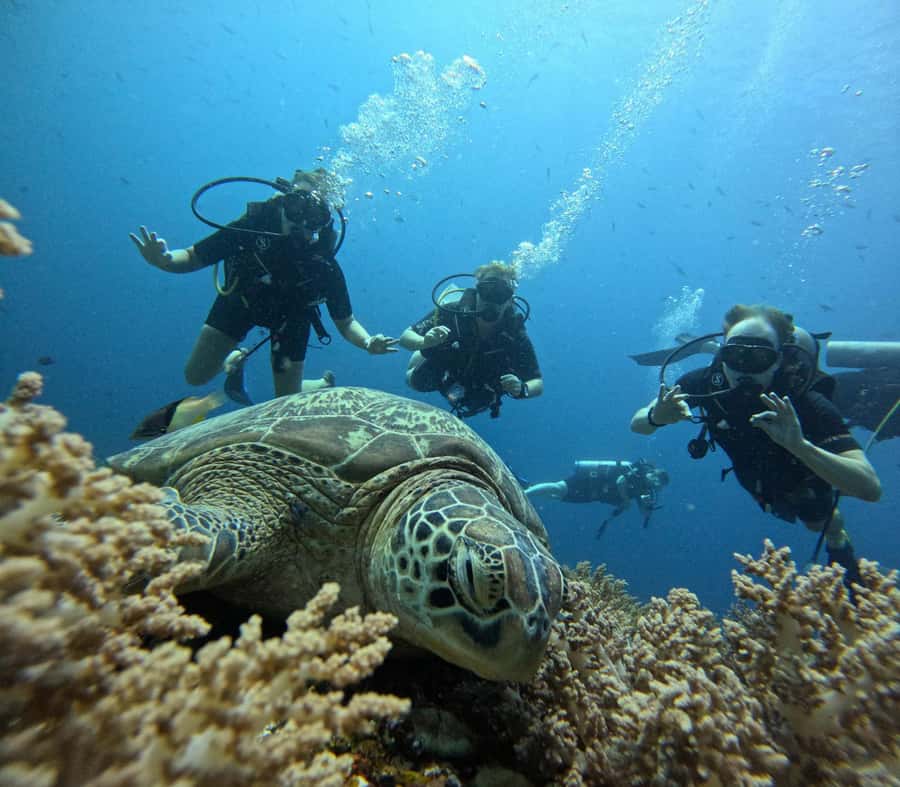 North of Mauritius: Scuba Diving Tour - Meeting at Mon Choisy, then out to sea (what your day will feel like)