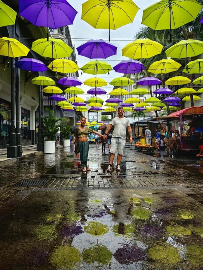 North Tour Of Mauritius With Street Food tasting - Start With a Smooth Pickup, Then Let the Guide Set the Pace