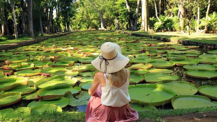 North Tour: Port Louis, Caudan, Citadelle, Botanical Garden - Key Highlights You Should Know Before You Go