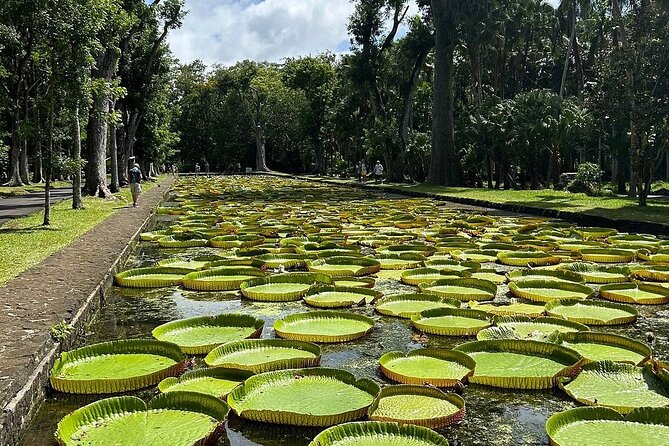 Northern Mauritius Private Tour w/ Port louis Market and Beaches - Port Louis: Fort Adelaide viewpoints plus the Grand Port Louis Bazaar and China Town