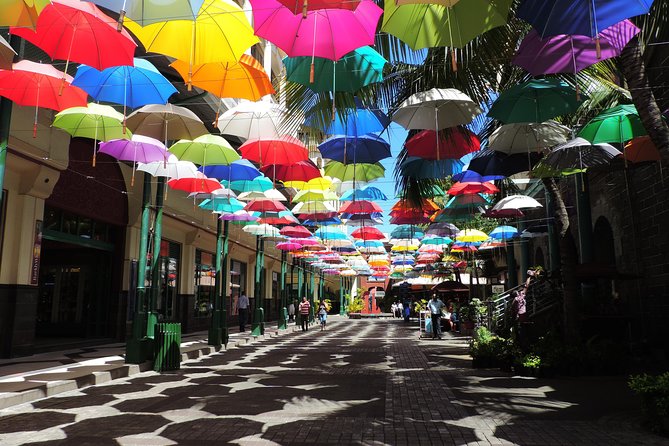 Port Louis and Pamplemousses Garden - A full day trip - A northern Mauritius day that actually changes pace