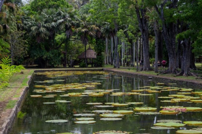 Port Louis and Pamplemousses Garden - A full day trip - Le Caudan Waterfront for shopping and a clean break