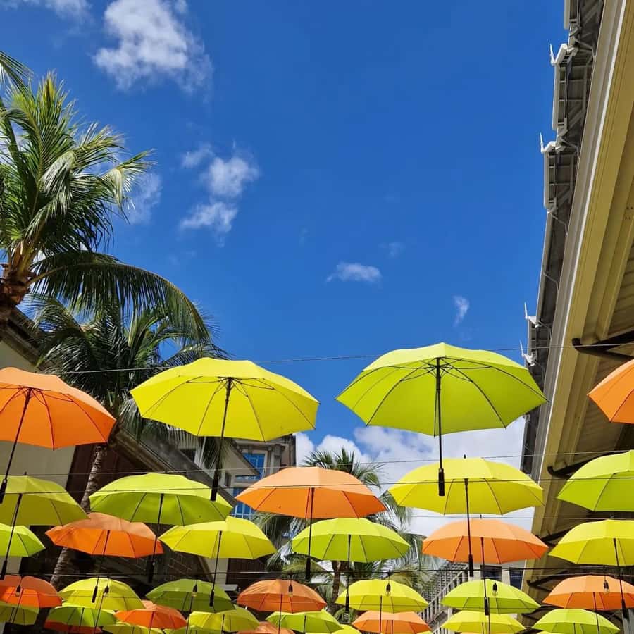 Port Louis: City Tour with Street Food Tasting - How the 8-hour Port Louis route actually feels