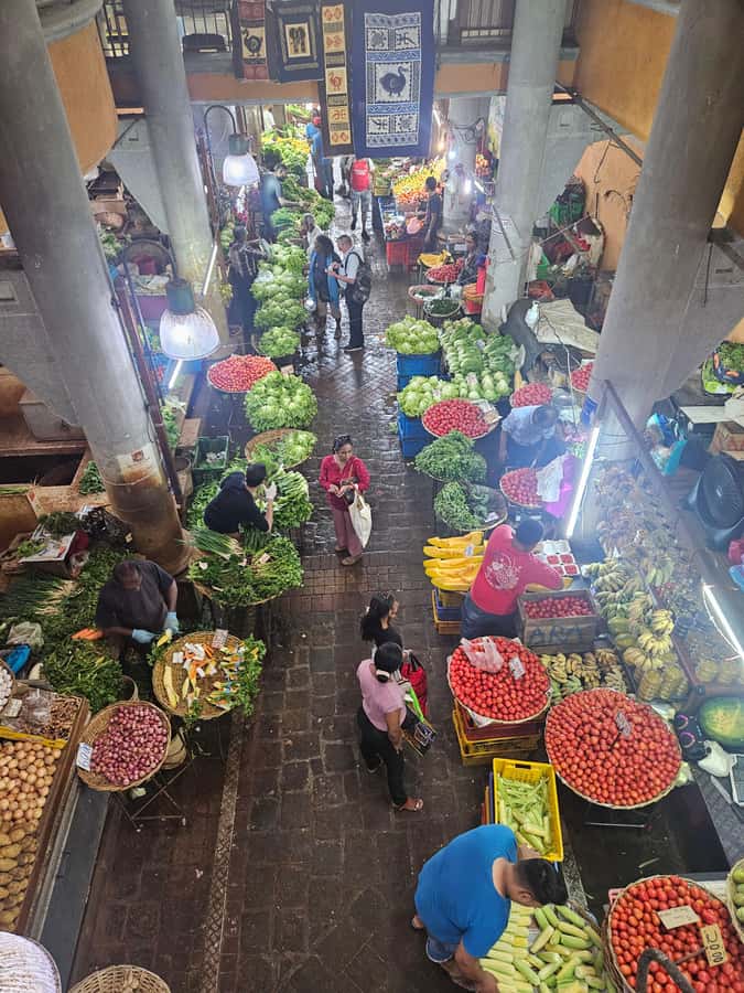 Port Louis: Mont Choisy, Botanical Garden, and Church Tour - Who this tour fits best, and who should think twice