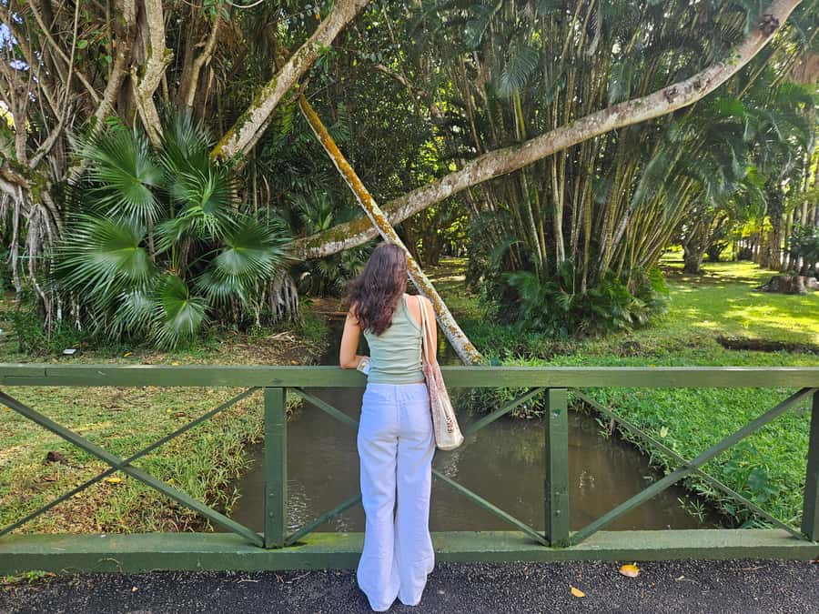 Port Louis: Mont Choisy, Botanical Garden, and Church Tour - Should you book this Port Louis, gardens, and beach day?