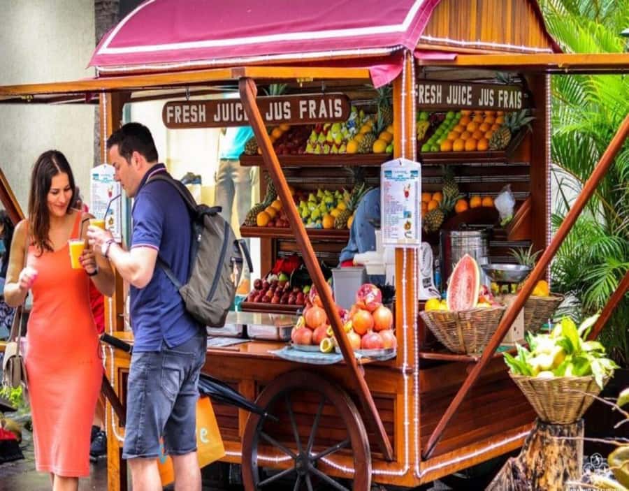 Port Louis: Northern Treasures Private Tour - Timing, Pace, and the Lunch Reality