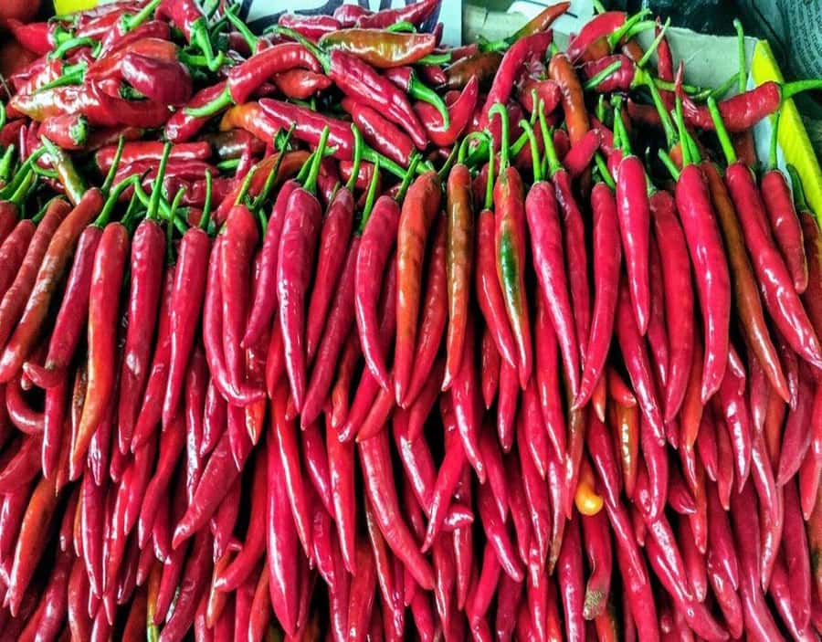 Port Louis: Northern Treasures Private Tour - Should You Book the Port Louis Northern Treasures Private Tour?