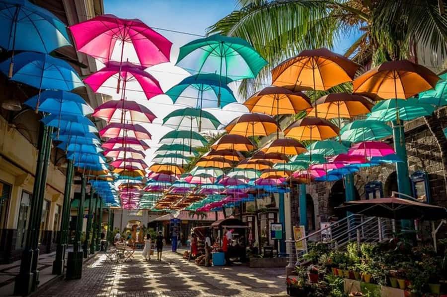 Port Louis: Private Guided Sightseeing Tour - Central Market bazaar: what to look for and what to ask