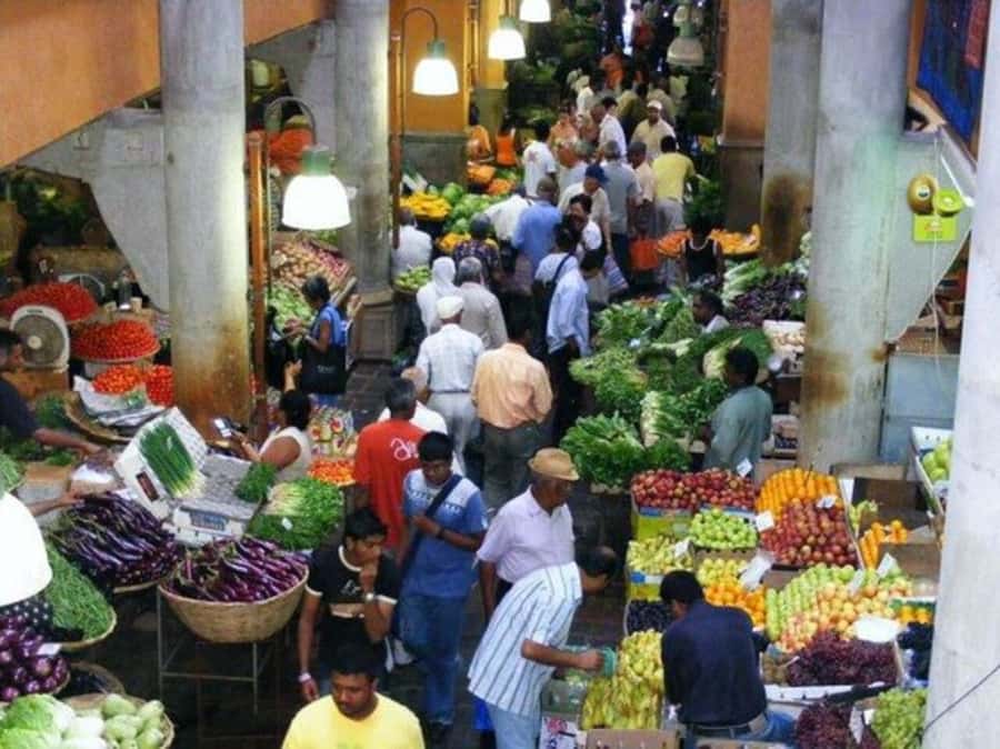 Port Louis: Private Guided Sightseeing Tour - Timing, rain, and what to pack for a 7-hour city-to-garden day