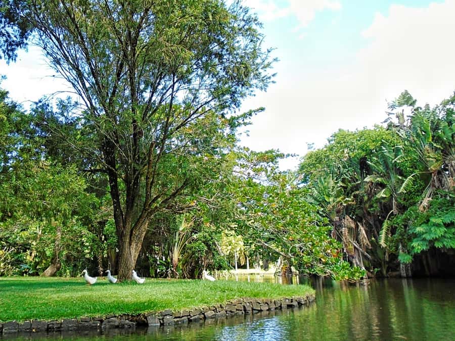 Private All Inclusive North Tour with Lunch & Entrance Fees - L’Aventure du Sucre: Sugar, Slavery History, Rum, and Tasting