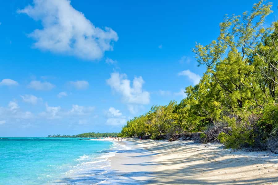 Private Catamaran Charter to Ile aux Cerfs - What you are really paying for, price value for a group up to 31