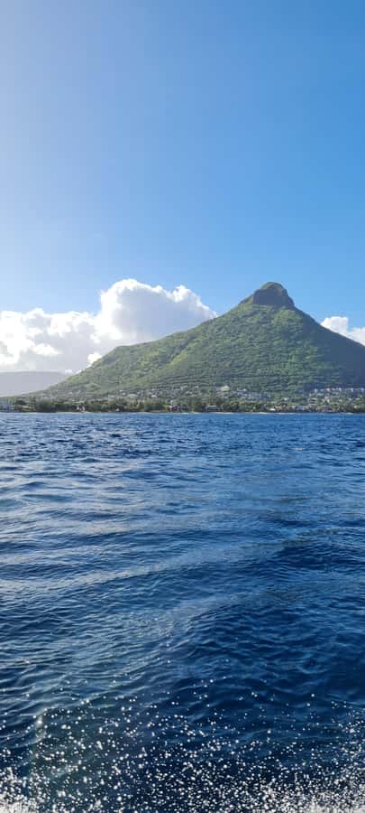 Private Dolphin Snorkeling Tour. Equipment available Free. - Drinks on Board: Small Comfort, Big Difference