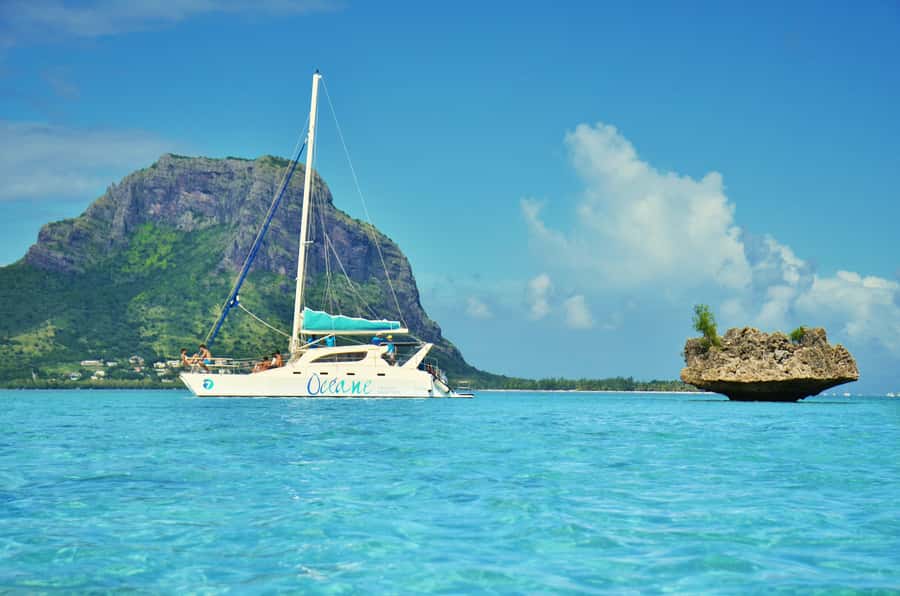 Private Dolphin Swim/Snorkeling & Lunch on Benitiers island - Key Points at a Glance