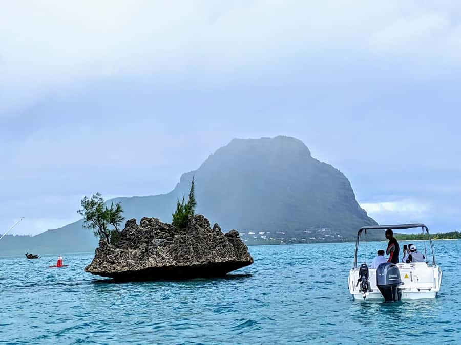 Private Dolphin Swim/Snorkeling & Lunch on Benitiers island - Crystal Rock Snorkeling With Le Morne Mountain in View