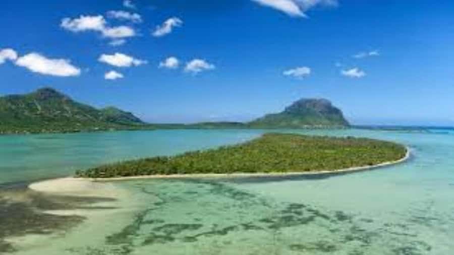 Private Dolphin Swim/Snorkeling & Lunch on Benitiers island - After Lunch on the Island: Beach Time and Lagoon Exploring