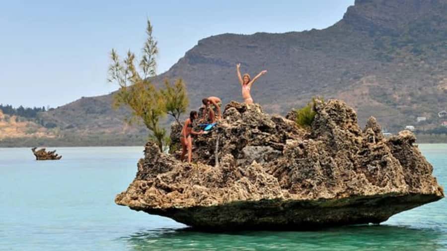 Private Dolphin Swim/Snorkeling & Lunch on Benitiers island - Dolphins in Tamarin Bay: The Part You Wait For