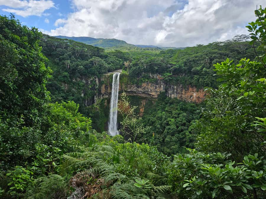 PRIVATE FULL-DAY NORTH AND SOUTH TOUR - A One-Day Mauritius Mix, North to South